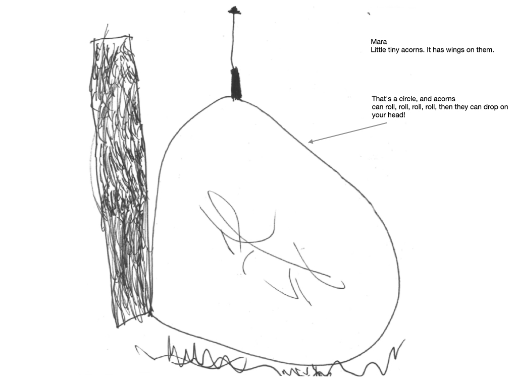 Making a Project: Squirrels and Acorns