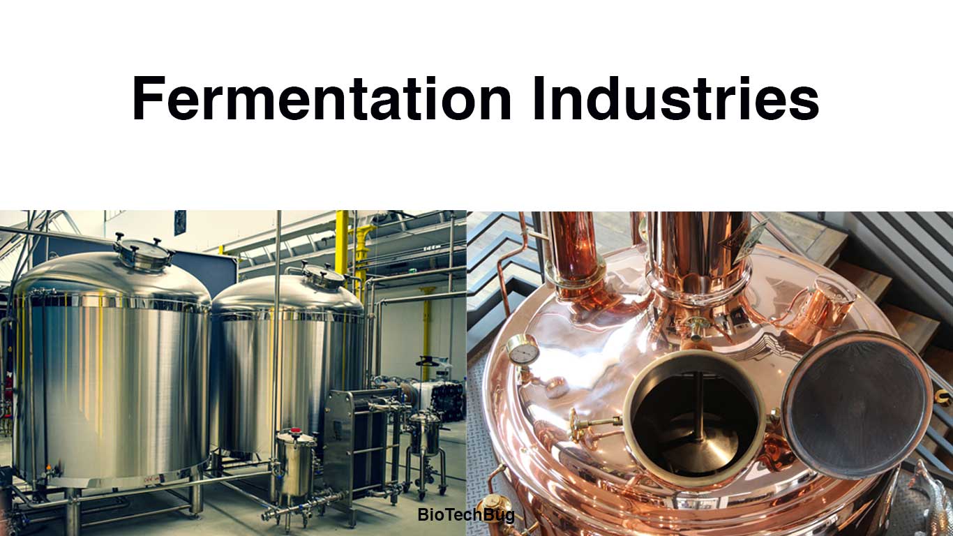 Overview of Fermentation Industries