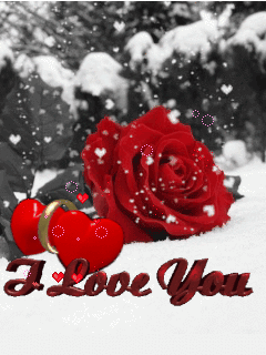 Best love rose wallpaper |Rose Wallpapers