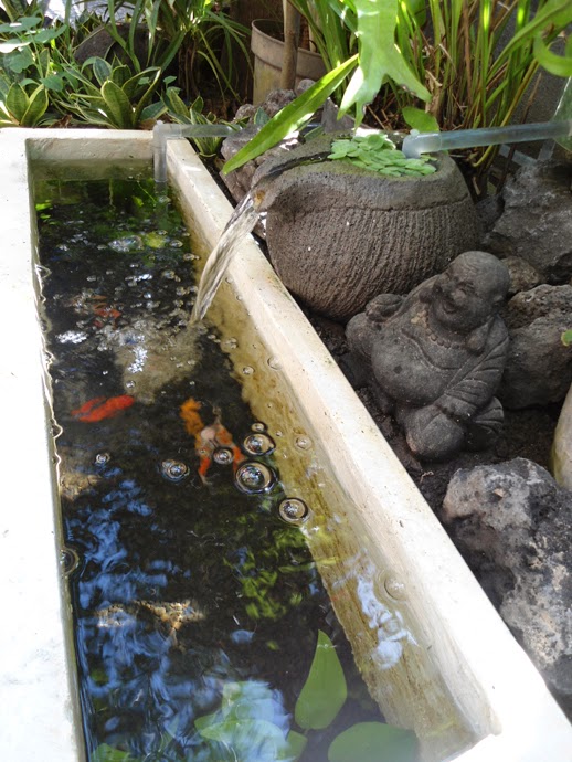 Kolam Ikan Koi: Membuat kolam ikan Koi kecil di depan rumah
