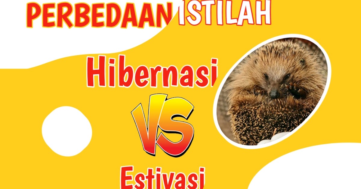 Arti Hibernasi Manusia
