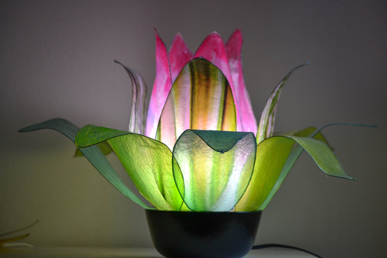 Lotus Lamps