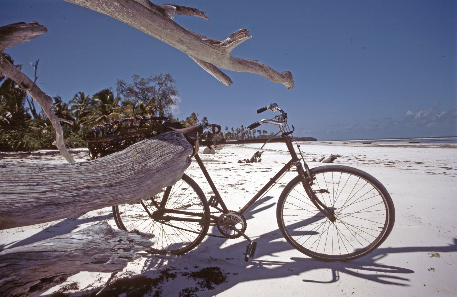 zanzibar 1990