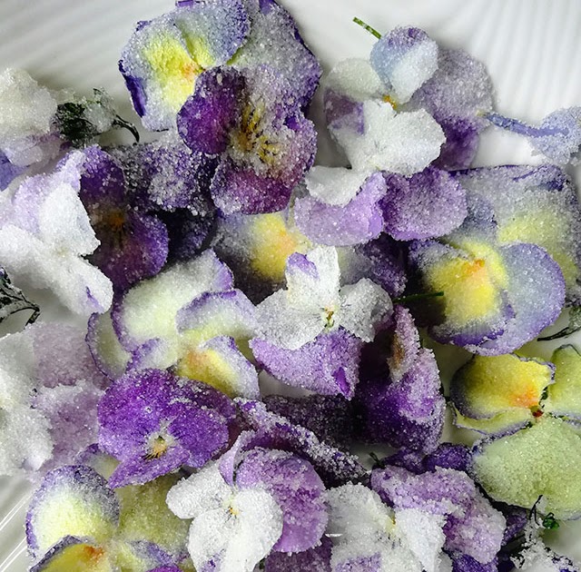 Candied Flowers How to Make Edible Sugared Pansies