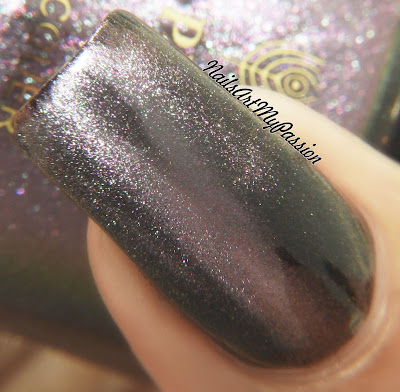 CAT-EYE EFFECT MAGNET: