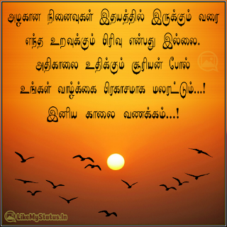 அழகான நினைவுகள் இதயத்தில் இருக்கும் வரை எந்த உறவுக்கும் பிரிவு என்பது இல்லை. அதிகாலை உதிக்கும் சூரியன் போல் உங்கள் வாழ்க்கை பிரகாசமாக மலரட்டும்...! இனிய காலை வணக்கம்...!