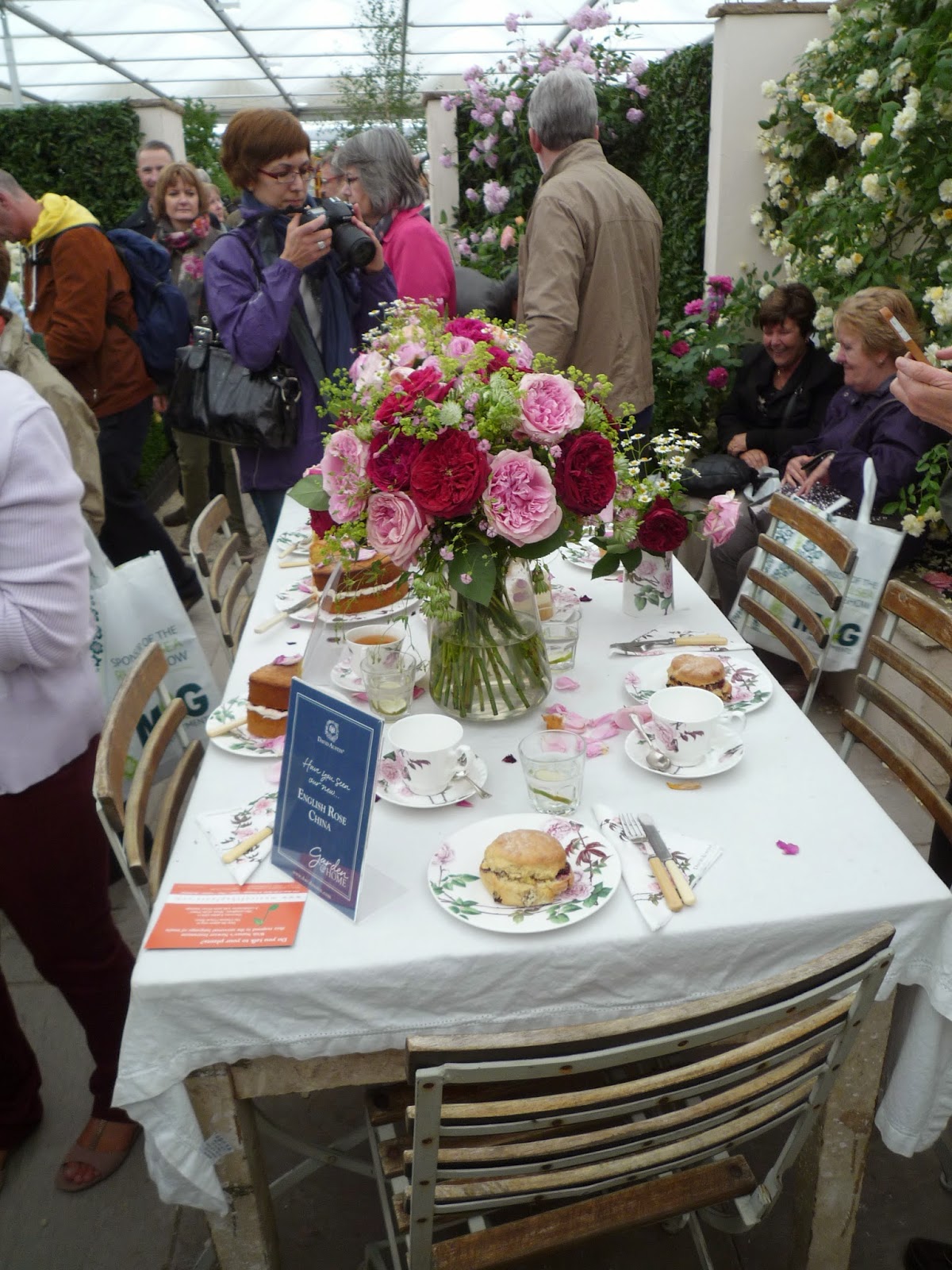 Coulda Shoulda Woulda: David Austin Roses and their Other Collections ...