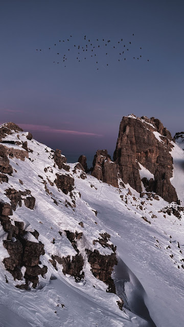 HD Wallpaper Birds, Snow, Rocks, Mountain HD Wallpaper Birds, Snow, Rocks, Mountain