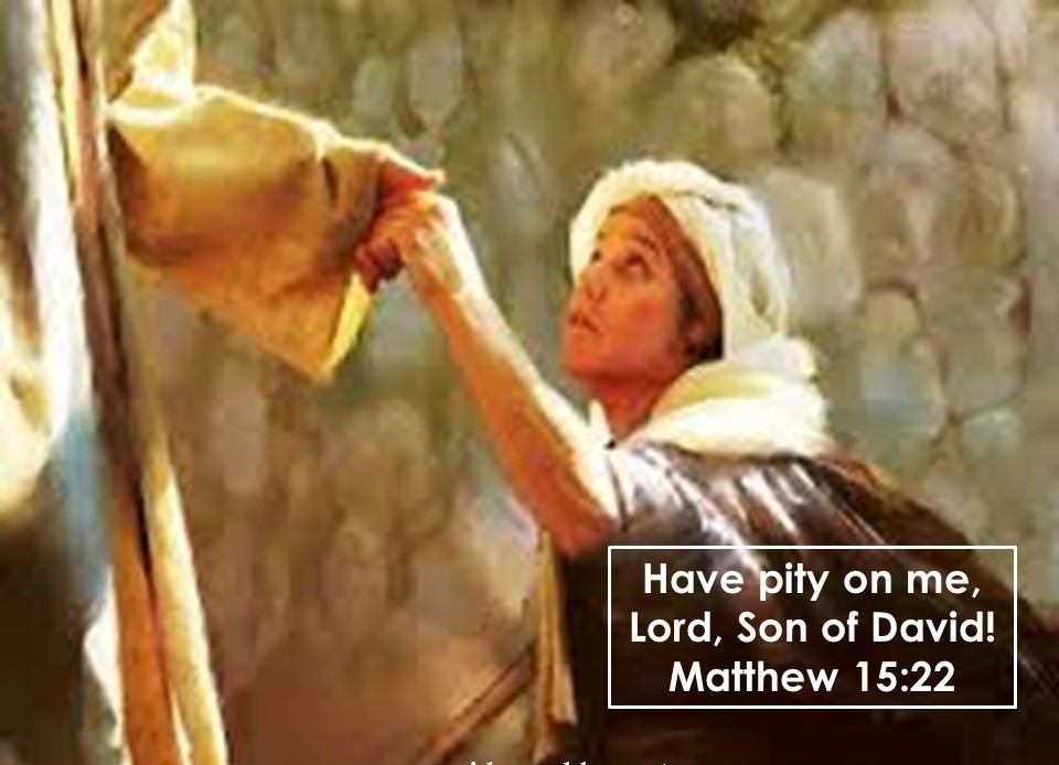 My Reflections... Reflection for Aug 7, Wednesday; Eighteenth Week in