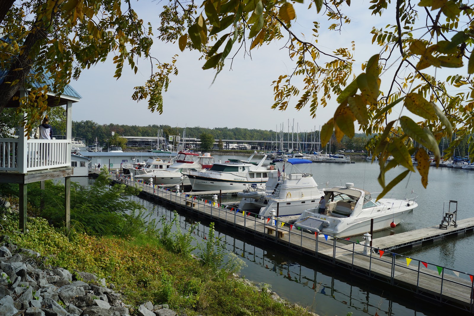 Cruises of the "Bucket List" Green Turtle Bay