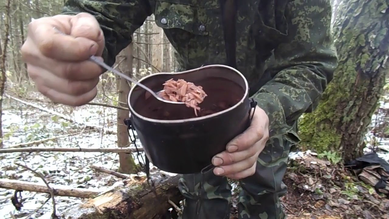 Выжить в тайге