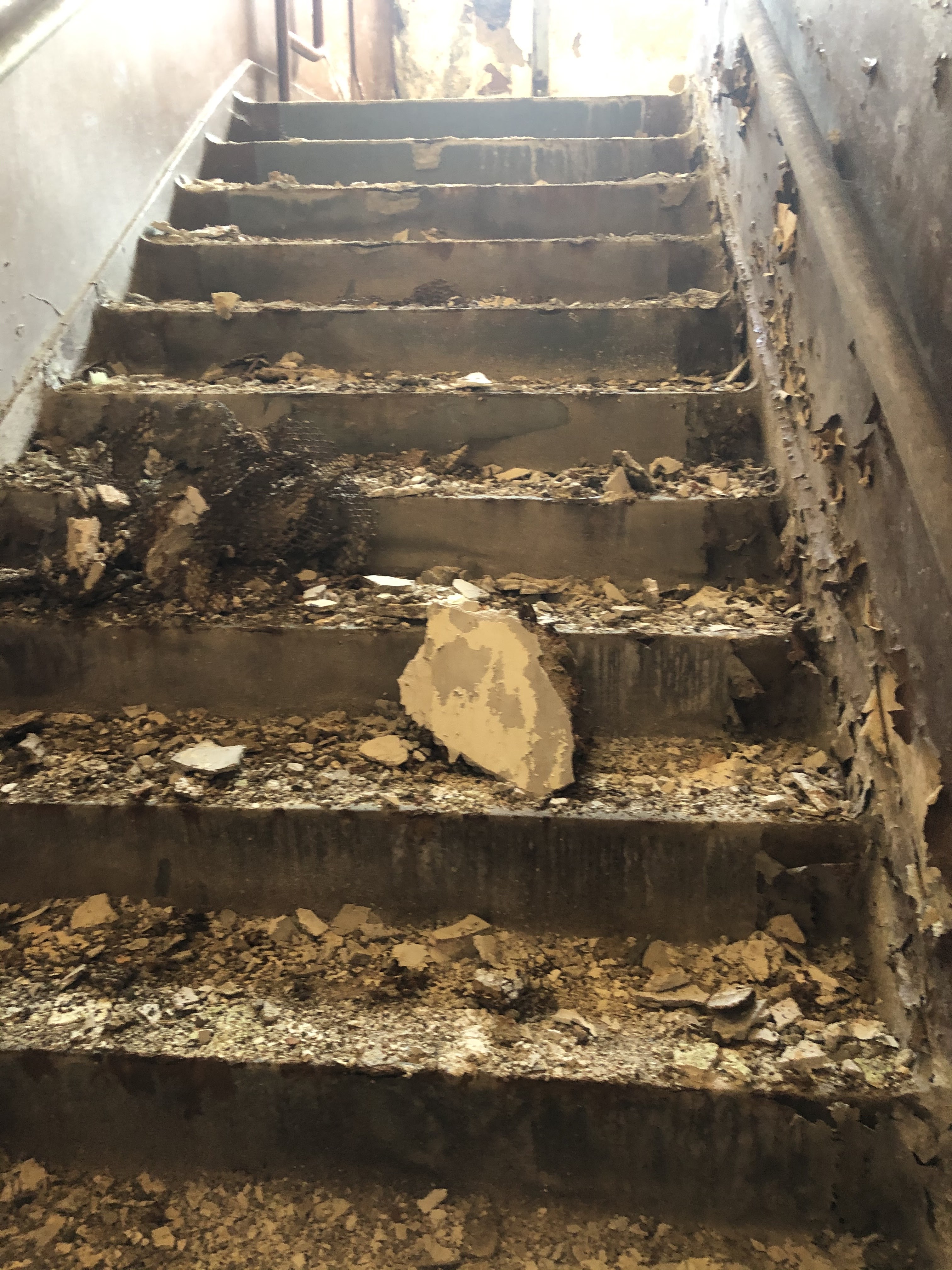 Florida Coalcracker Chronicles Prodigal Son Returns To Panther Valley