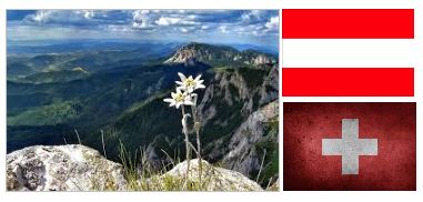 Daftar 10 Bunga Nasional Resmi Beserta Gambar Dan Penjelasannya