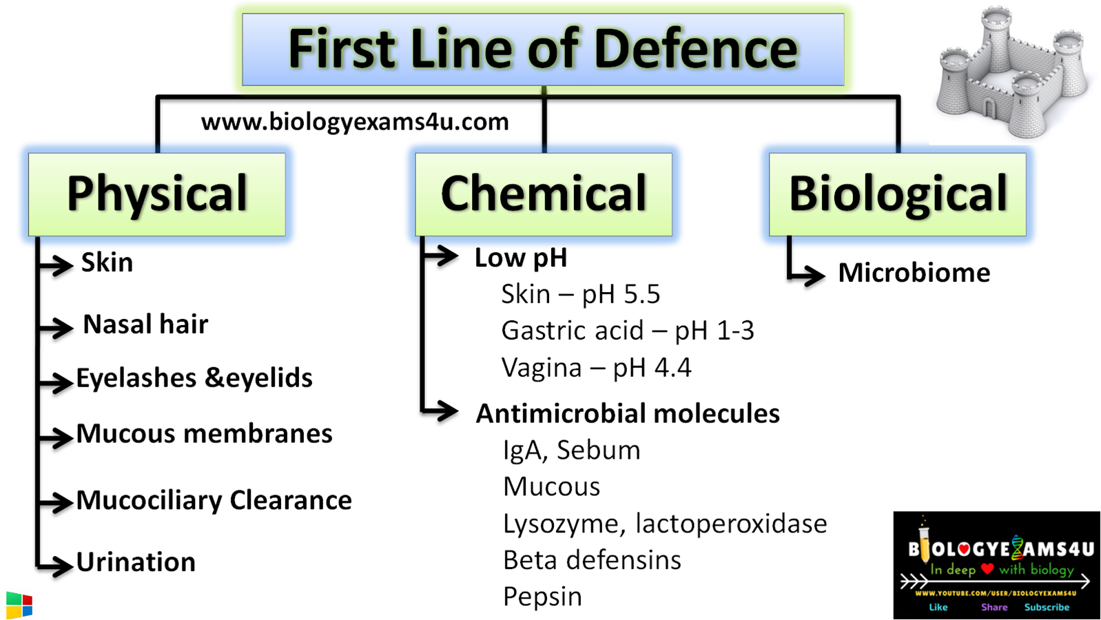 First Line of defence in immune system