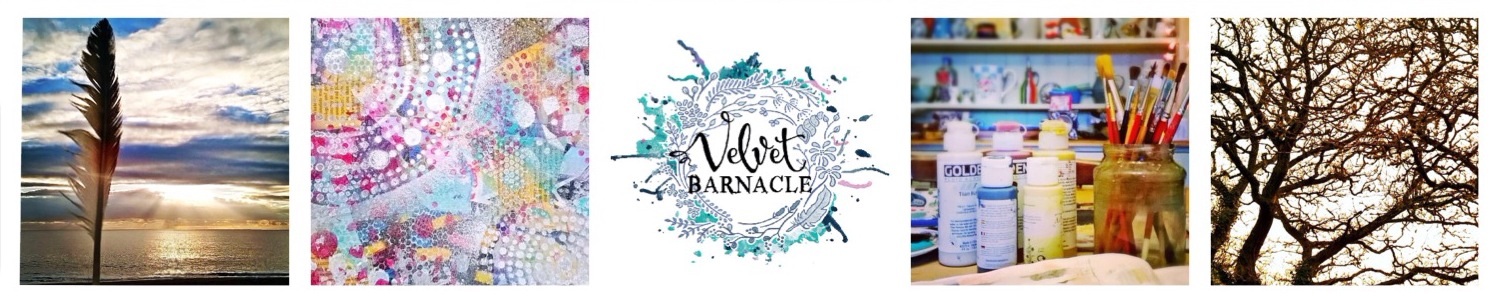 Velvet Barnacle