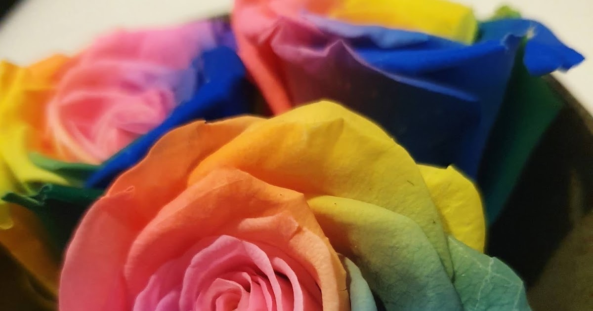 Laura in Singapore Blossoms and Bubbles