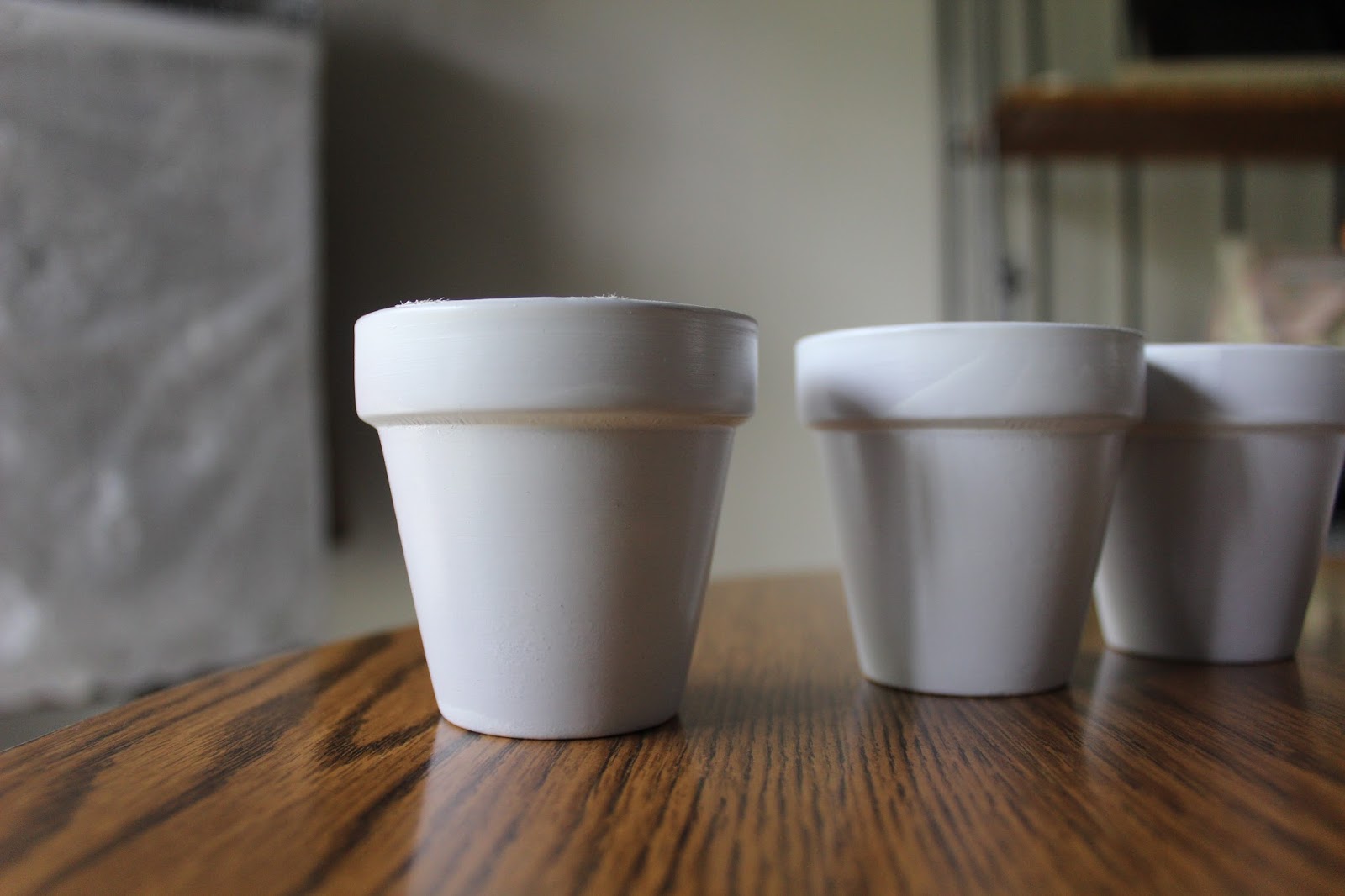 Little Bits of Lacey DIY Marble Dollar Tree Pots for Succulents