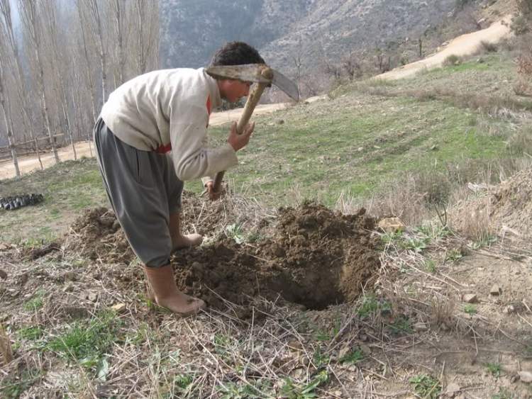 Rüyada Çukur Kazmak Rüya Tabirleri ve Yorumları