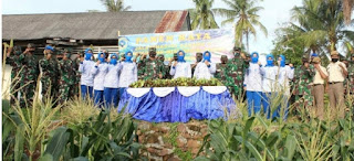 Lanal Dabok Singkep panen jagung dukung Ketahanan pangan