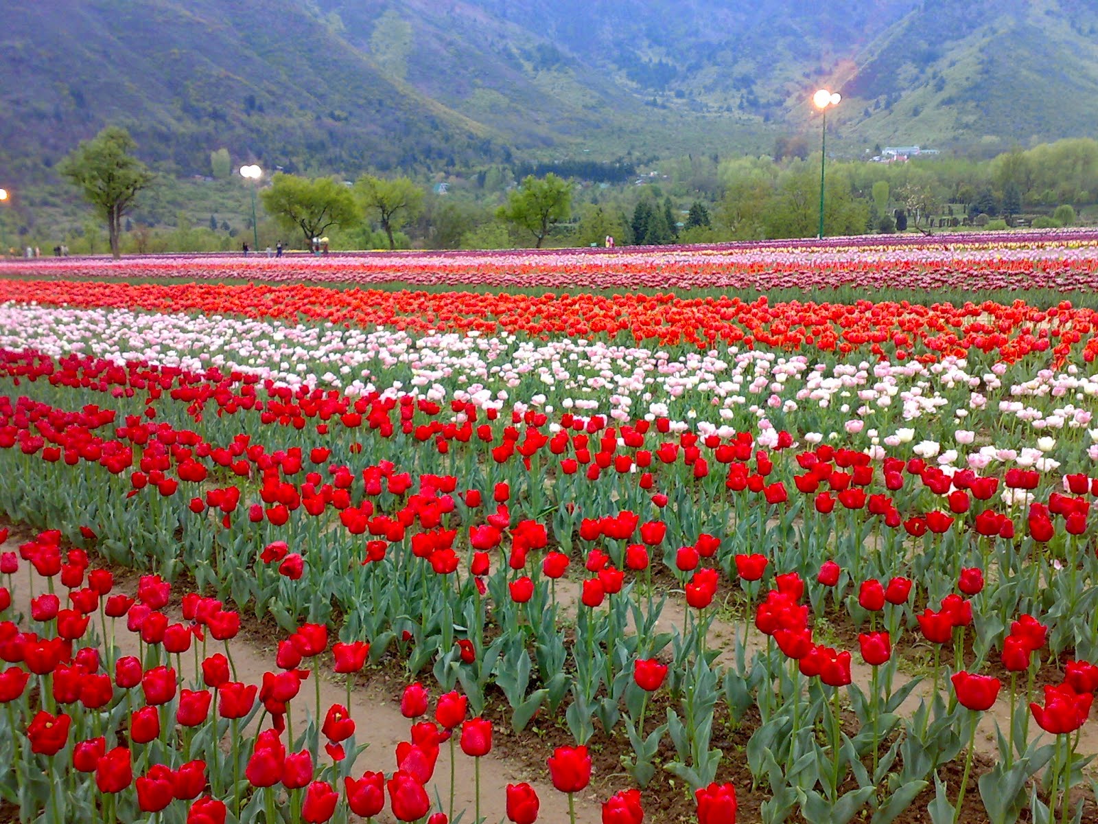 Place To Visit in Kashmir Best Destination in the World