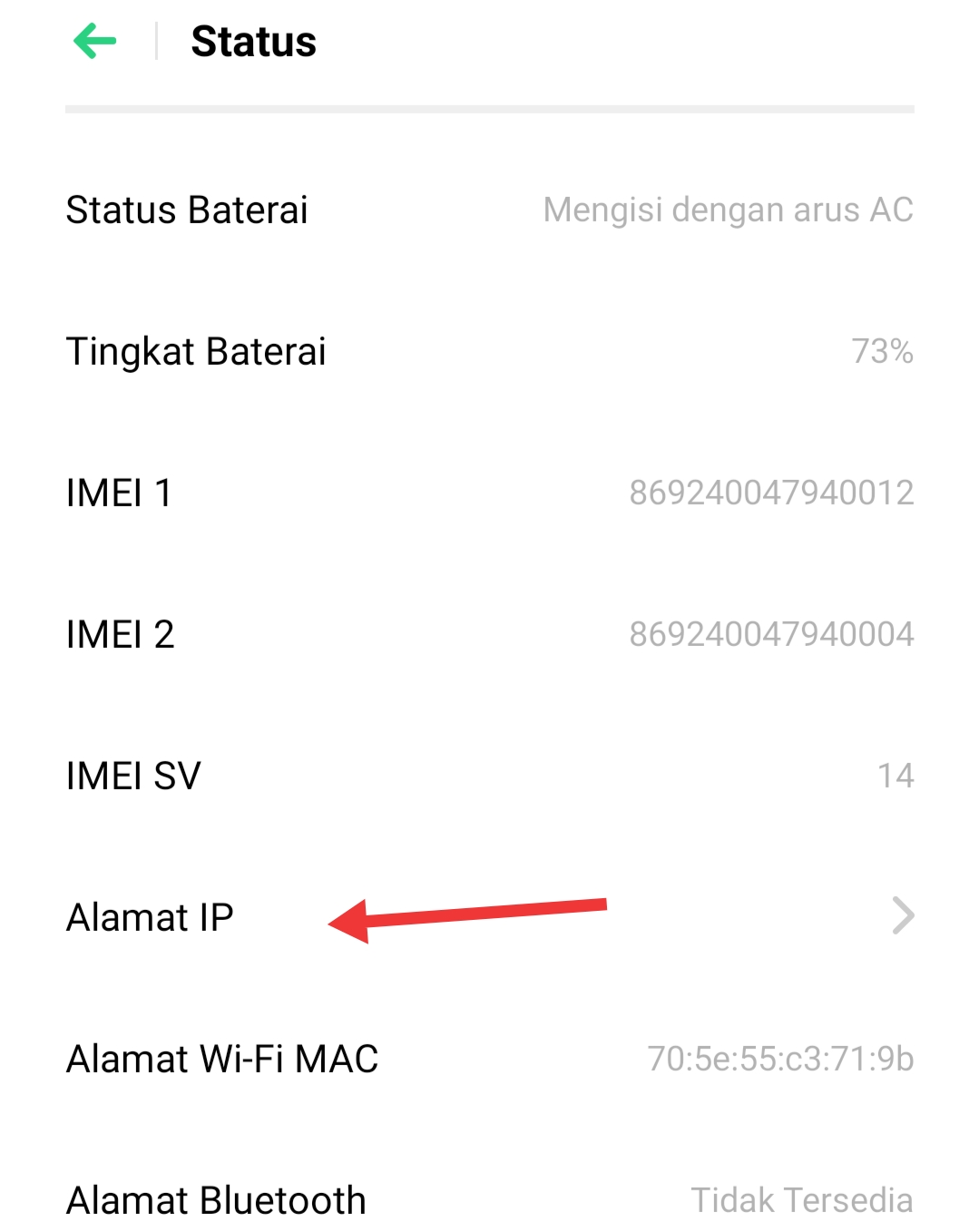 Cara Melihat IP Address HP Android