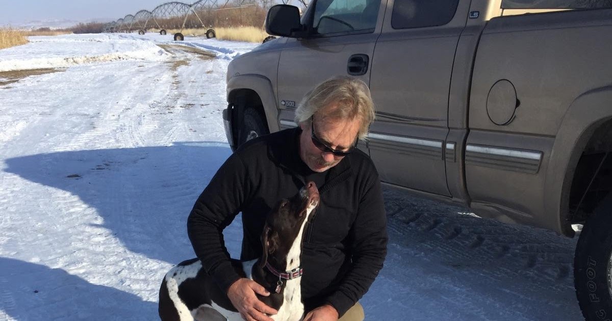 Gunsight Kennels Look at those pheasants!