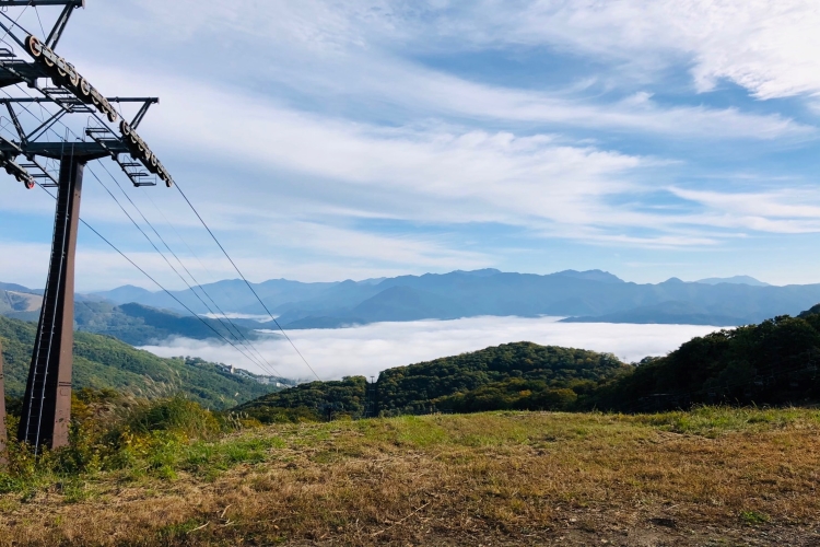 The Secret Fxの４つのローソク足パターンを検証 ３６０ Fxブログ