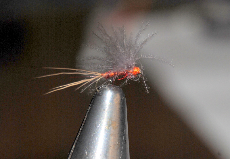 Pesca a mosca: A MOSCA: EFEMERA IGNITA