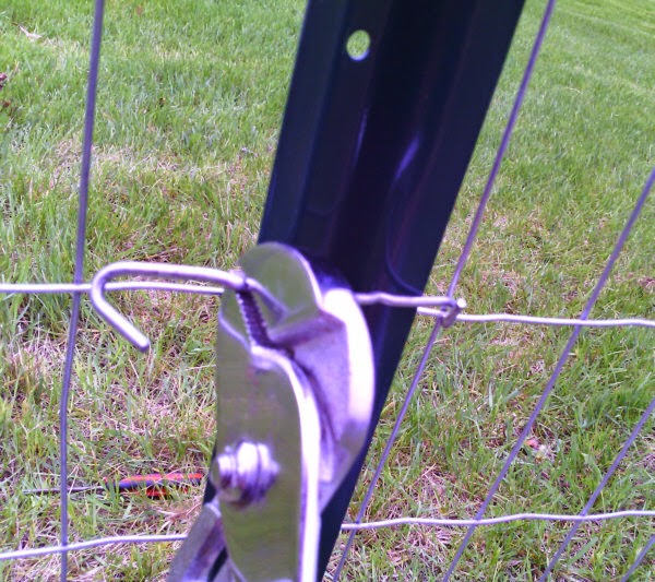 Speechless Workin Stiff Installing TPost Clips on Garden Fence