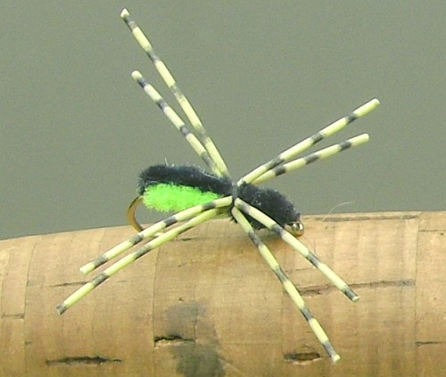 Louisiana Fly Fishing: Slow Sinking Spider