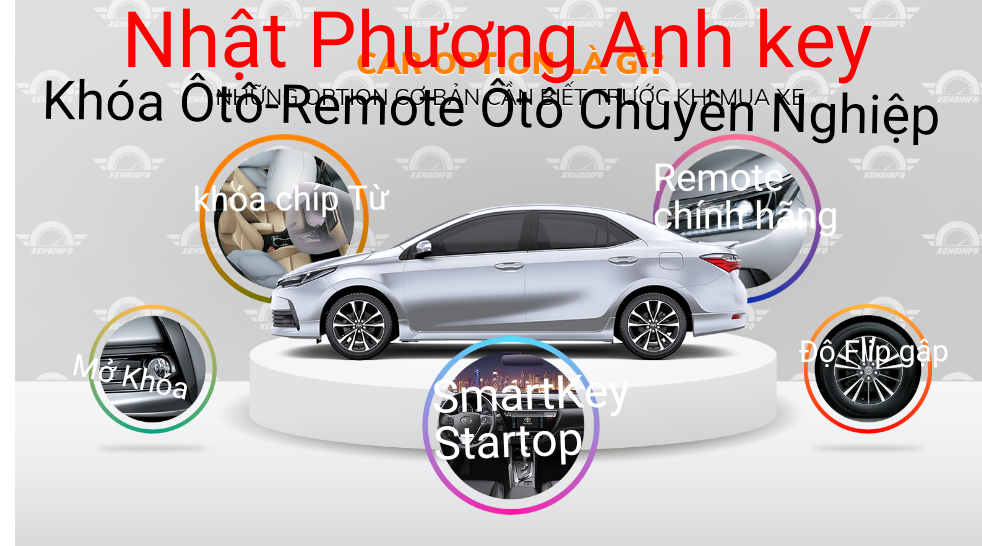 Mua bán ô tô cũ và mới ở Bình Định uy tín giá tốt 032023  Bonbanhcom