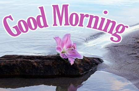 Good Morning Photos Good Morning Photos
