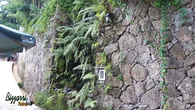 Muro de pedra com pedra moledo com a execução da cascata de pedra com a água caindo nas pedras em área de alimentação do Apiário Santo Antônio em Atibaia-SP com as mesas de madeira, as cadeiras de madeira e os guarda-sol.