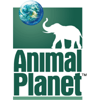 History of All Logos: All Animal Planet Logos