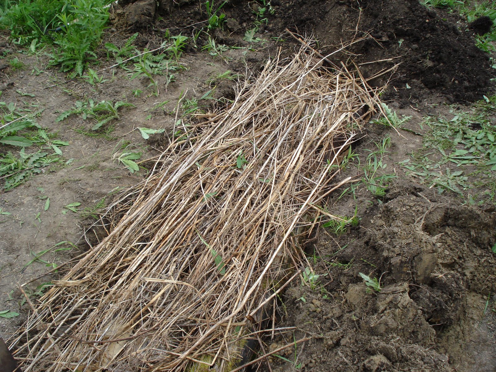 North of Superior Permaculture: Hugelkultur - Become a Mound Builder