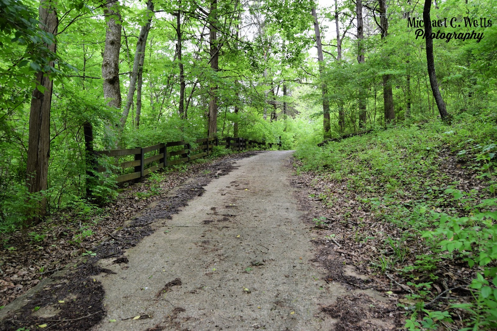 Abandoned Glenmary Golf Course