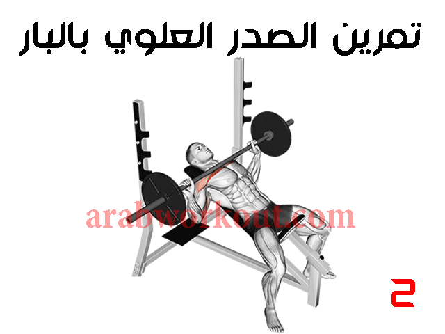 تمرين الصدر العلوي بالبار تمرين الصدر العلوي بالبار