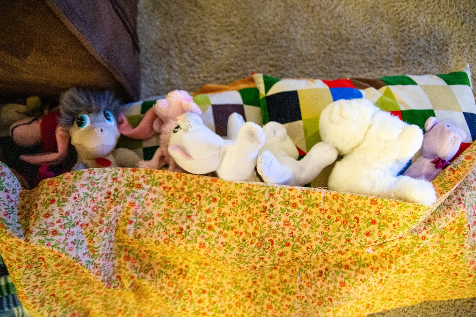 Stuffed Animal Rescue Christine's Camera