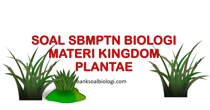 Yuk Mojok! Contoh Soal Sbmptn Biologi Dan Pembahasannya