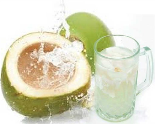 Manfaat air kelapa yang harus kamu tahu - Ayo-Berkebun