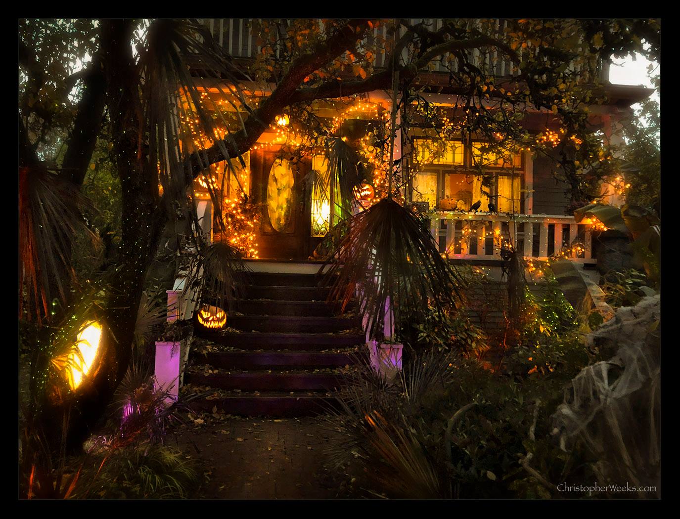 The Blog The Haunted Orchard House 2018