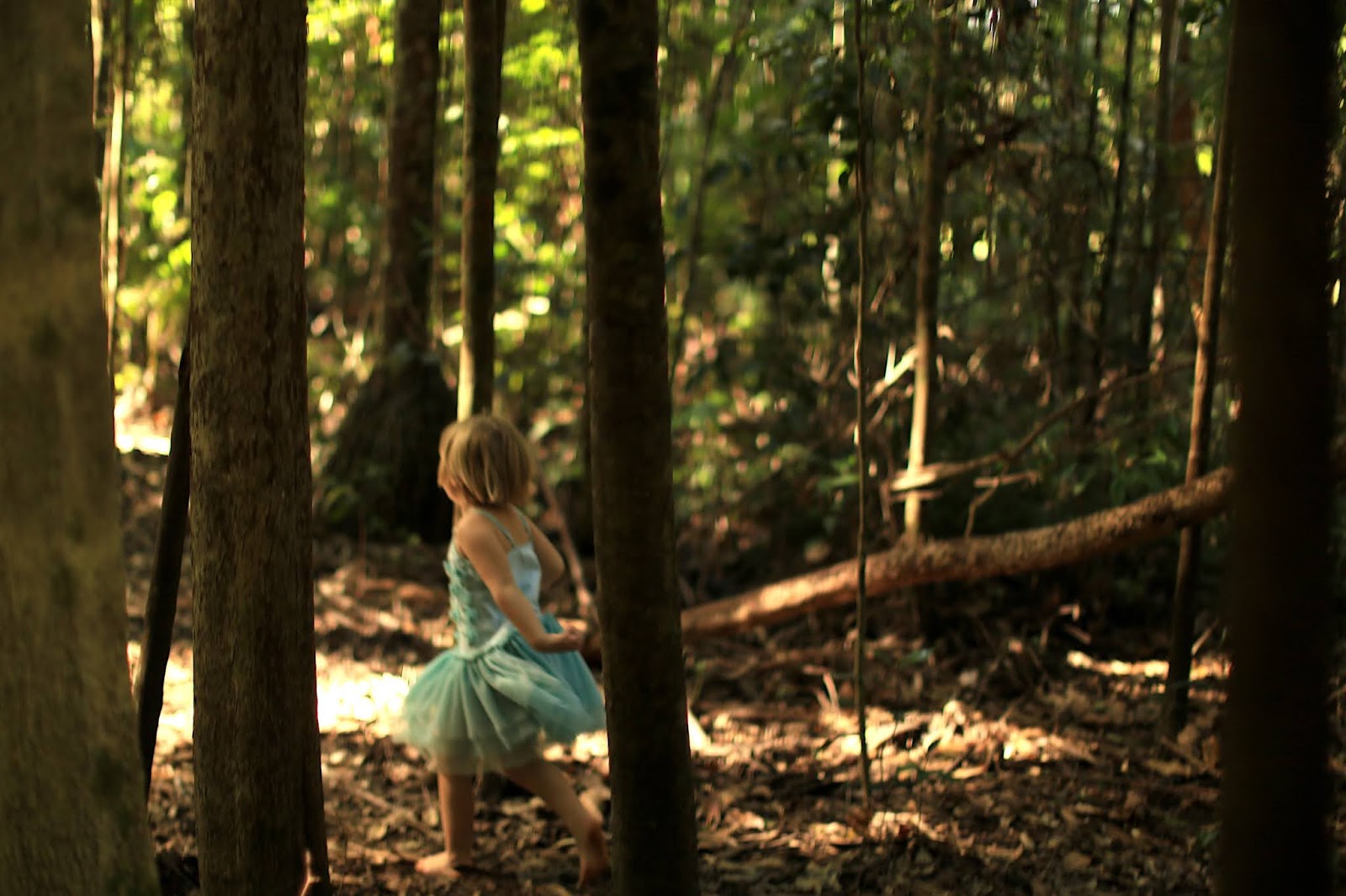 a far wilder magic genre a far wilder magic genre
