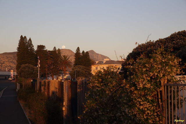 Ciudad del Cabo y Garden Route - Blogs de Sudáfrica - 22-11-18. Segundo día en Ciudad del Cabo y camino a Hermanus. (8)