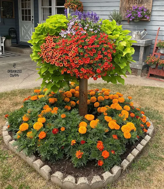 Photo of a small junk garden with orange annuals