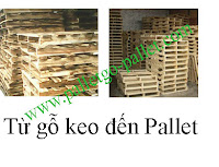 Tái sử dụng pallet go