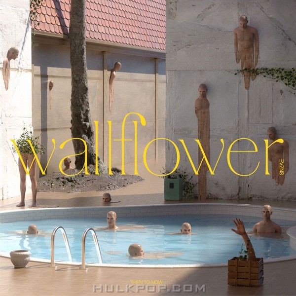 snzae – wallflower – Single