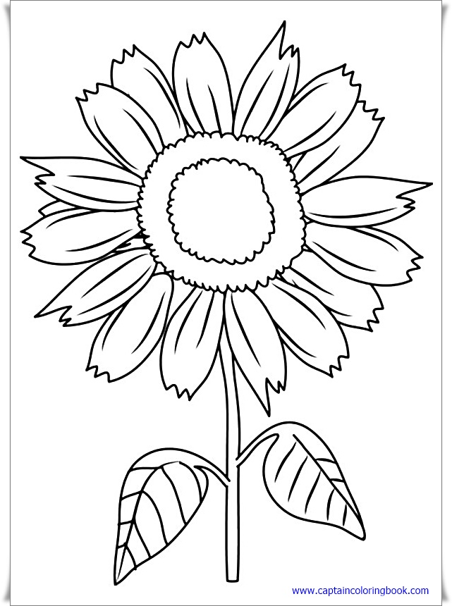 Your Seo Optimized Title