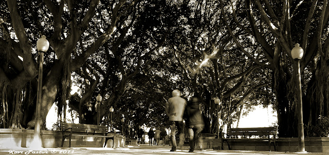 paseo canalejas, alicante, xvdigital, Street Photo