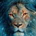 Ascension Report: 8:8 Lions Gate, a Spiritual Point of View | JENJI