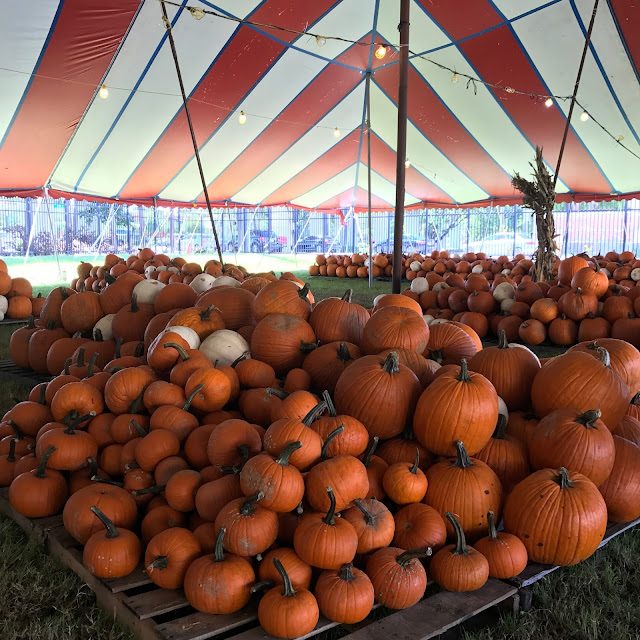 Halloween in America